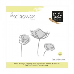 Sokaï - So Flowers - Les...