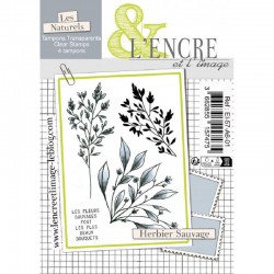 L’Encre & L’Image – Herbier...