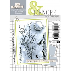 L'Encre et l'Image - La...