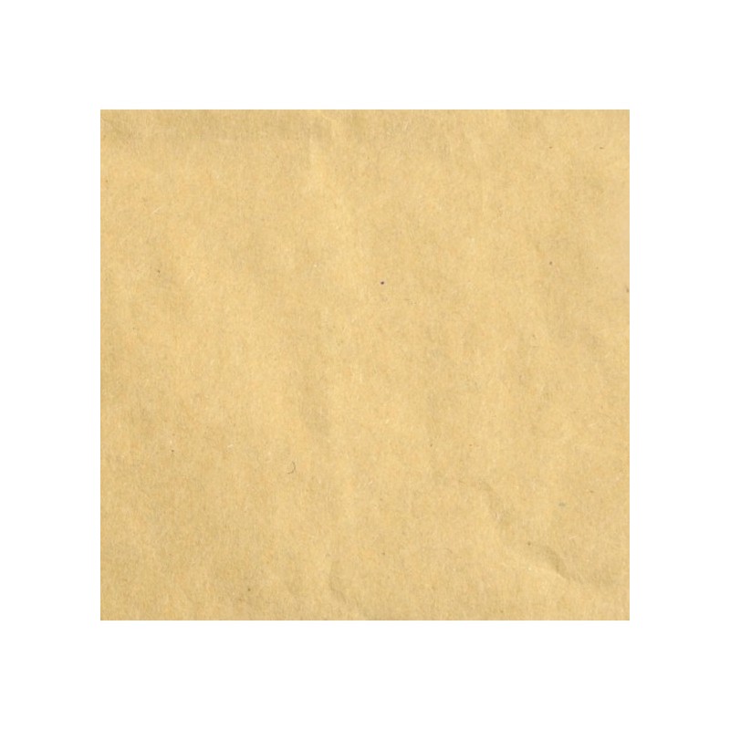 Florence Cardstock Kraft light