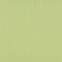 Florence Cardstock Texxture Anise