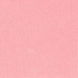 Florence Cardtstock  Texture Rose