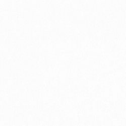 Florence Cardstock White