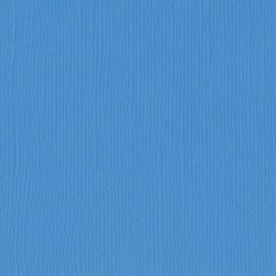 Florence cardstock texture 12x12 Denin