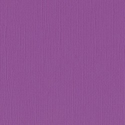 Florence cardstock texture 12x12 Plum