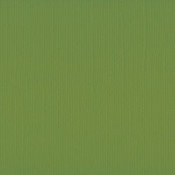 Florence cardstock texture 12x12 Olive