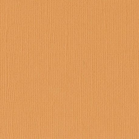 Florence cardstock texture 12 X 12 Apricot