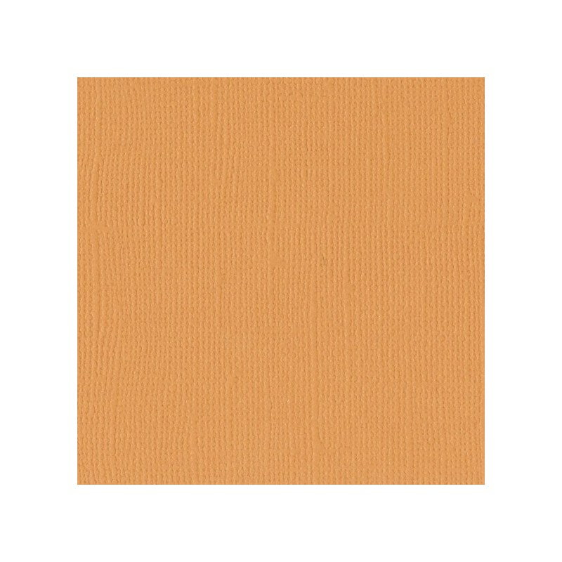 Florence cardstock texture 12 X 12 Apricot