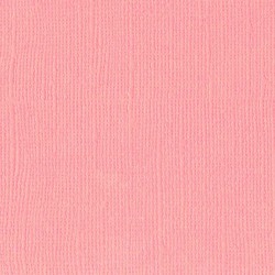 Florence cardstock texture 12 X 12 Sweet