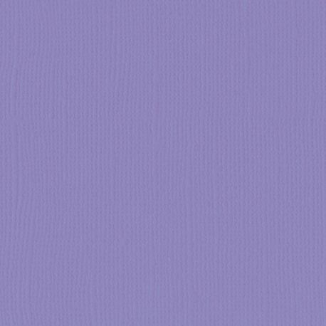 Florence cardstock texture 12 X 12 Purple