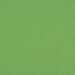 Florence • Cardstock texture 30,5x30,5cm Frog